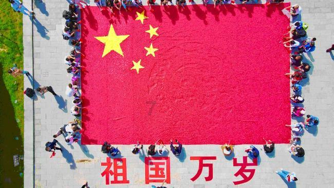pdd商家网页版下载
